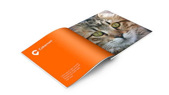 酷客美地企業形象設計 塑造品牌靈魂，引領市場潮流